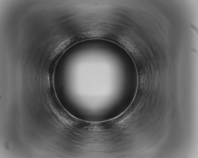 X0000097640254200802291412