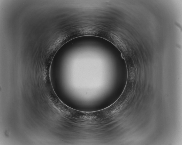 X0000097640255200802291412