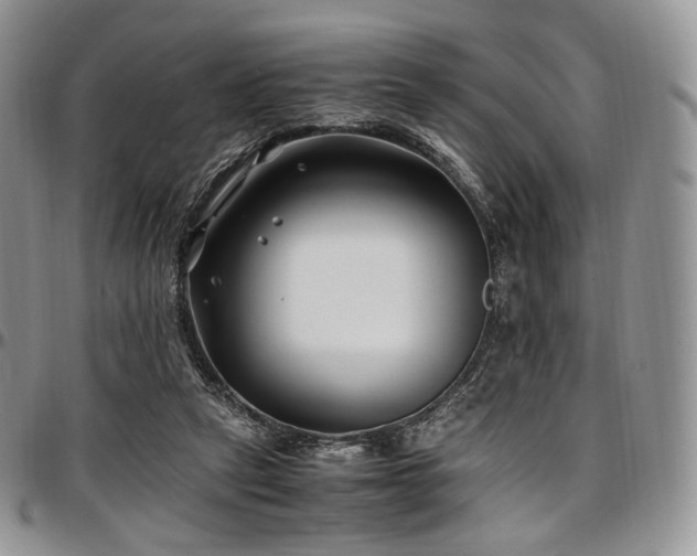 X0000097640257200802291412