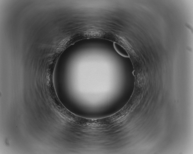 X0000097640259200802291412