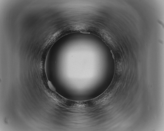 X0000097640260200802291412