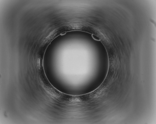 X0000097640262200802291412