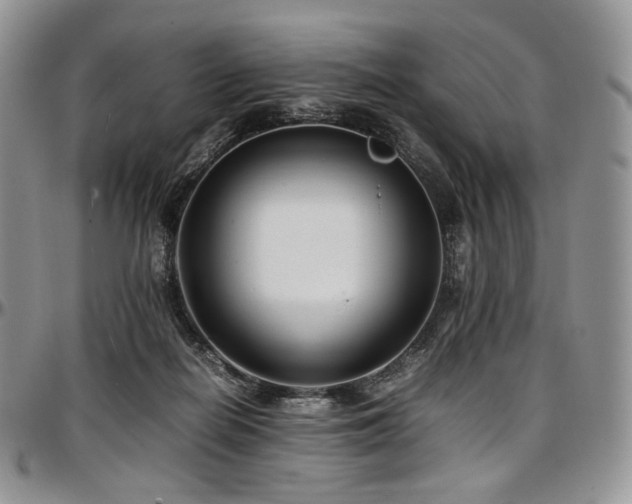 X0000097640266200802291412