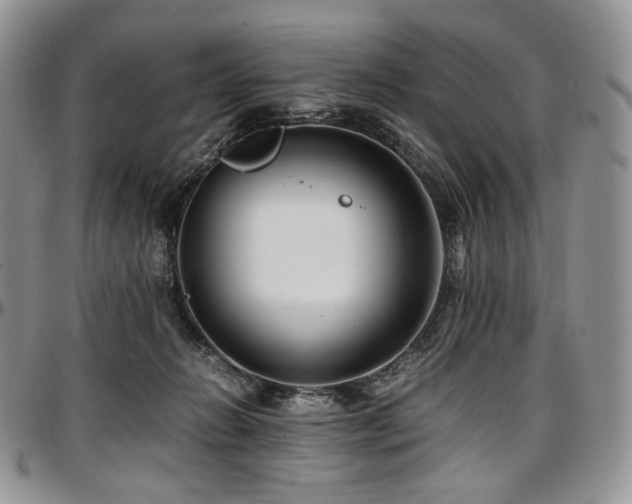 X0000097640270200802291412