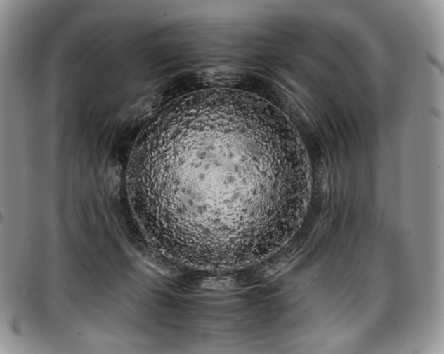 X0000097640271200802291412