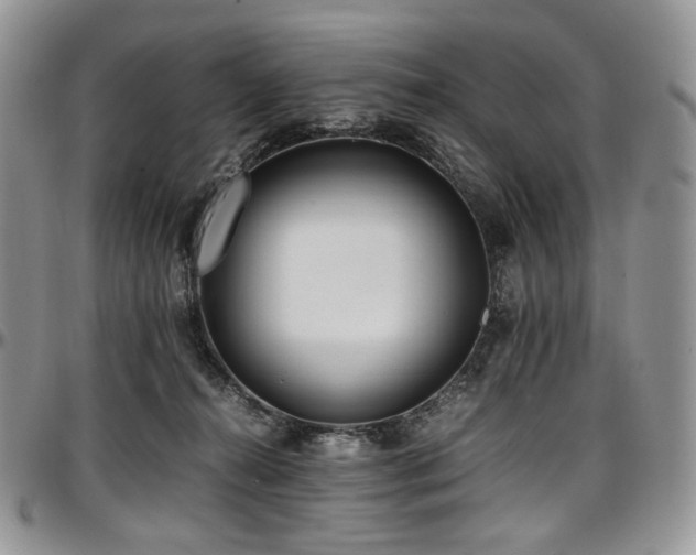 X0000097640272200802291412