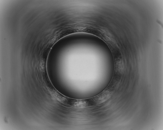 X0000097640274200802291412