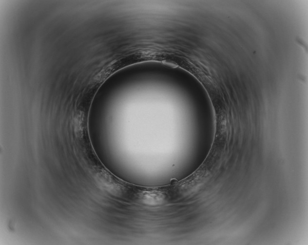 X0000097640275200802291412