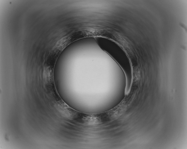 X0000097640276200802291412