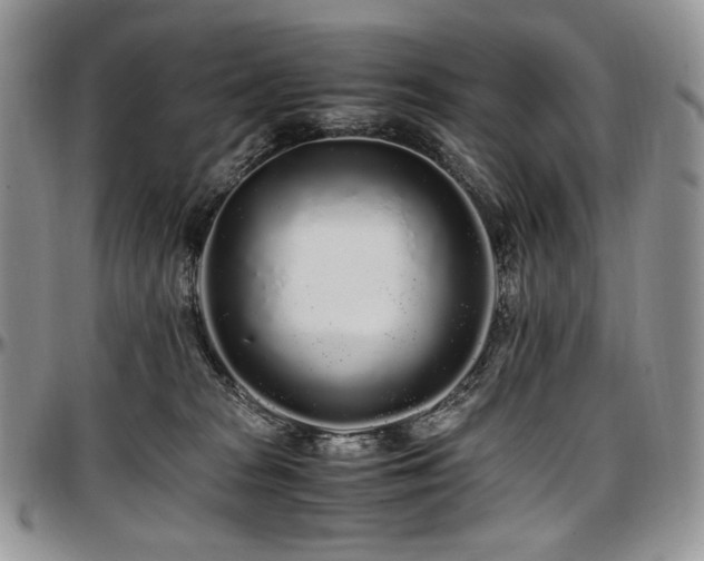 X0000097640277200802291412