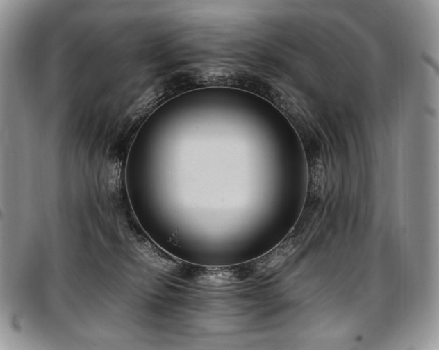 X0000097640278200802291412