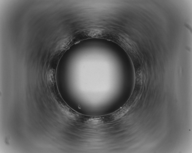 X0000097640280200802291412