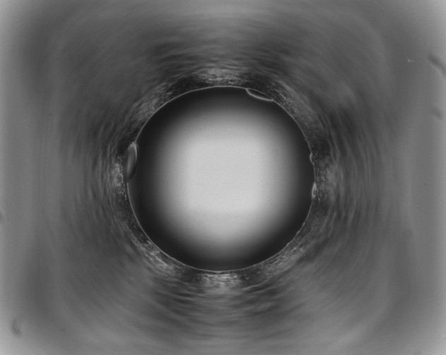 X0000097640281200802291412