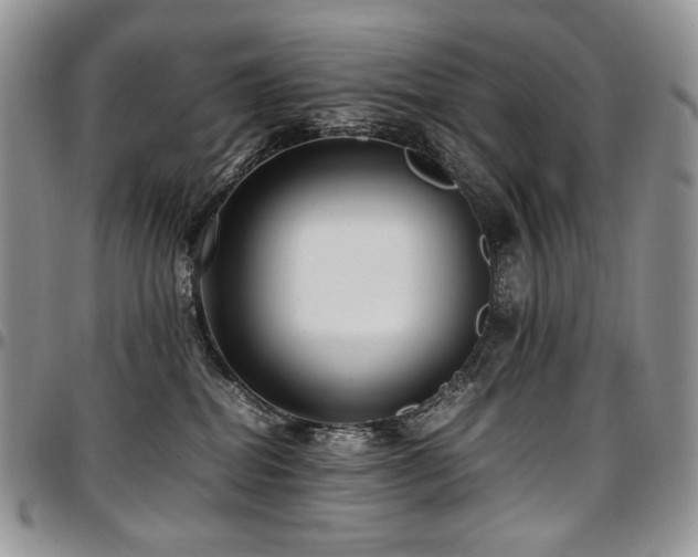 X0000097640282200802291412