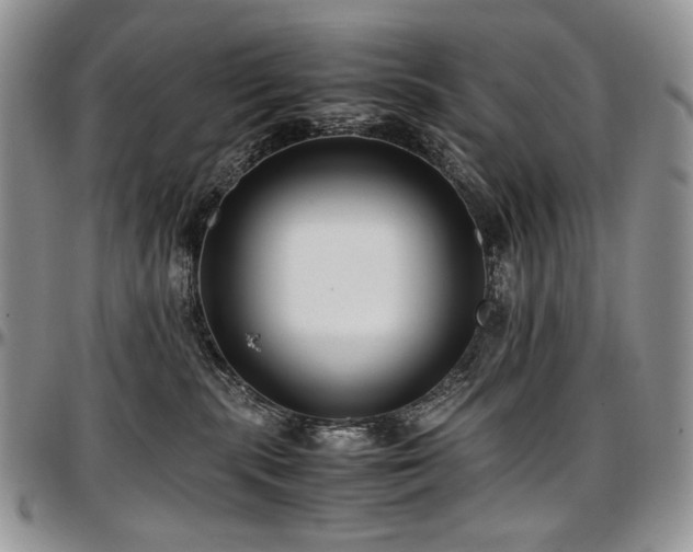 X0000097640283200802291412