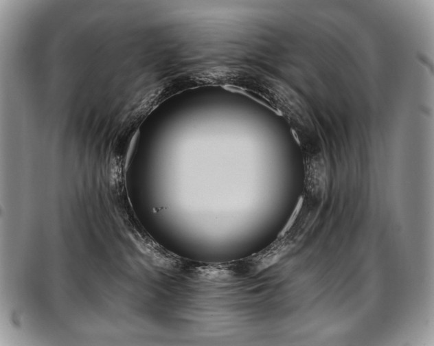 X0000097640284200802291412