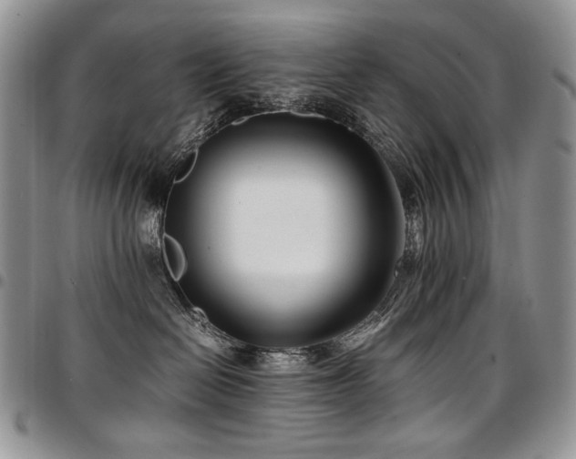 X0000097640286200802291412