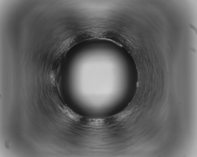 X0000097640288200802291412