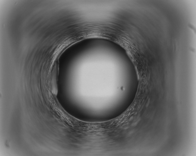 X0000097640289200802291411