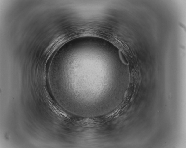X0000097640290200802291411
