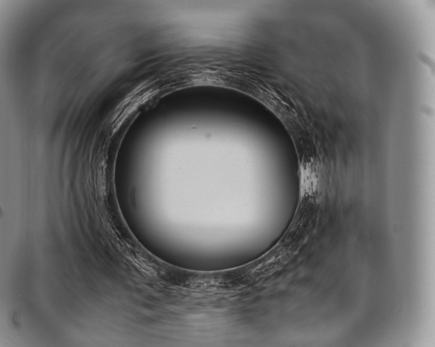 X0000097640291200802291411