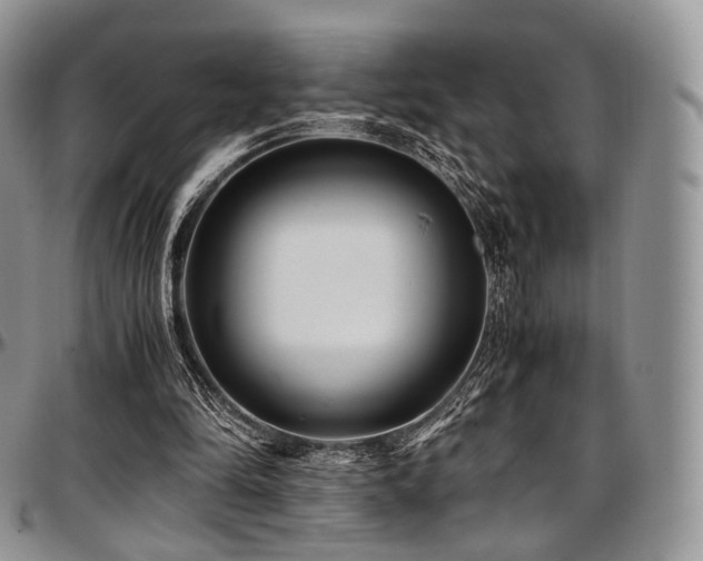 X0000097640294200802291411