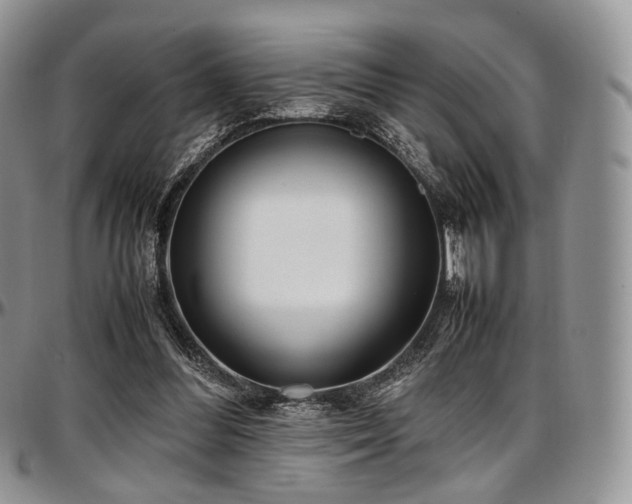 X0000097640300200802291411