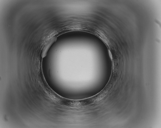 X0000097640301200802291411