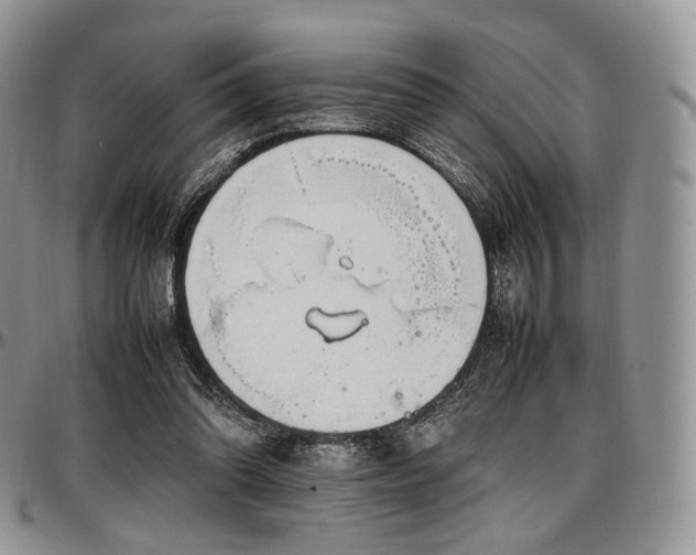 X0000097640302200802291411