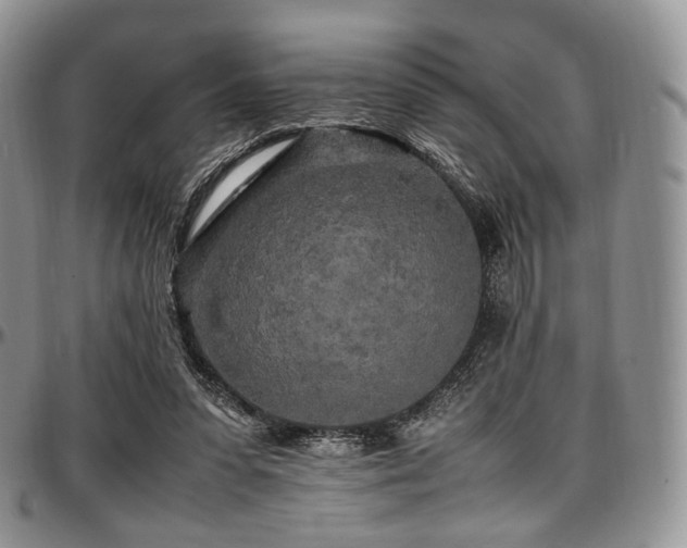 X0000097640303200802291411
