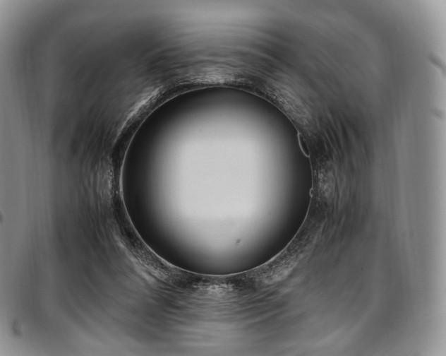 X0000097640304200802291411