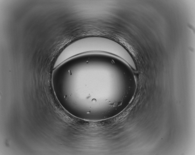 X0000097640305200802291411