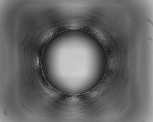 X0000097640310200802291411