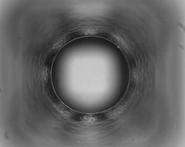 X0000097640311200802291411