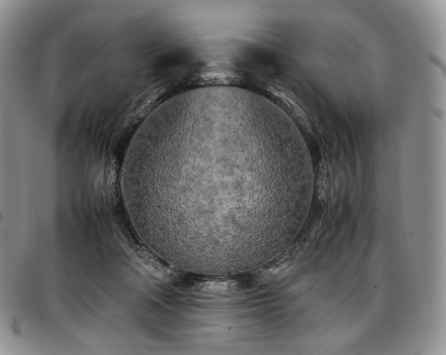 X0000097640314200802291411