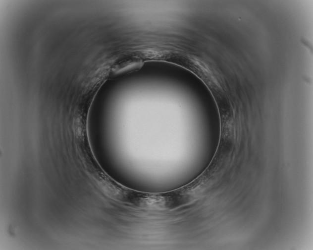 X0000097640317200802291411