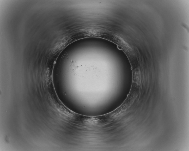 X0000097640318200802291411