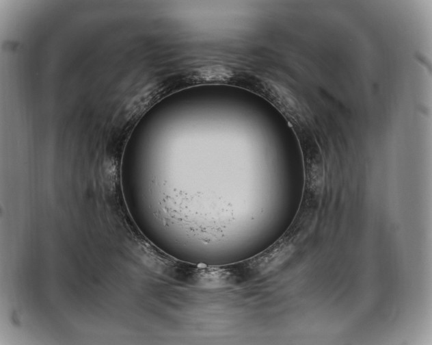 X0000097640321200802291411