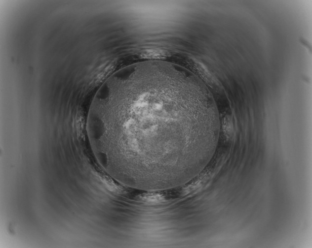 X0000097640322200802291411