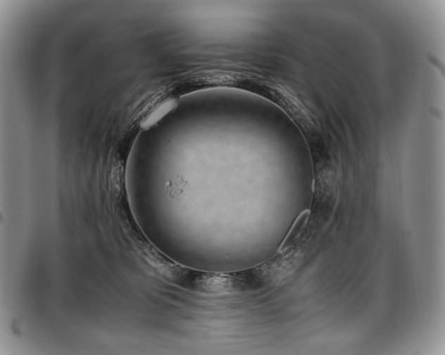 X0000097640325200802291411