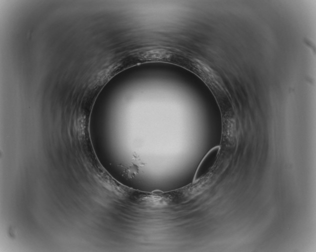 X0000097640326200802291411