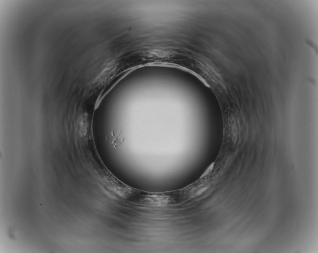 X0000097640328200802291411