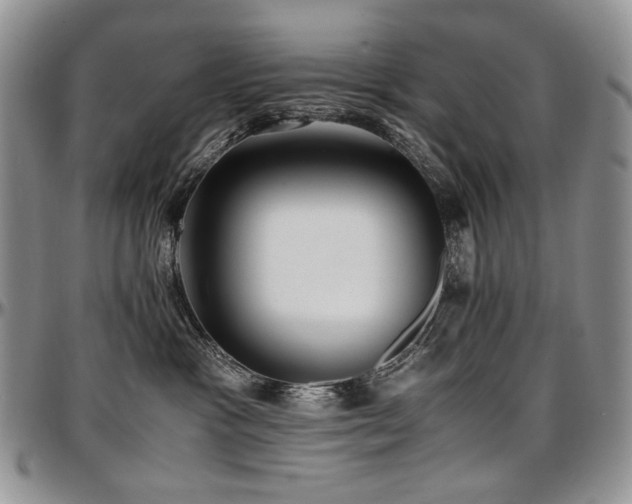 X0000097640333200802291411