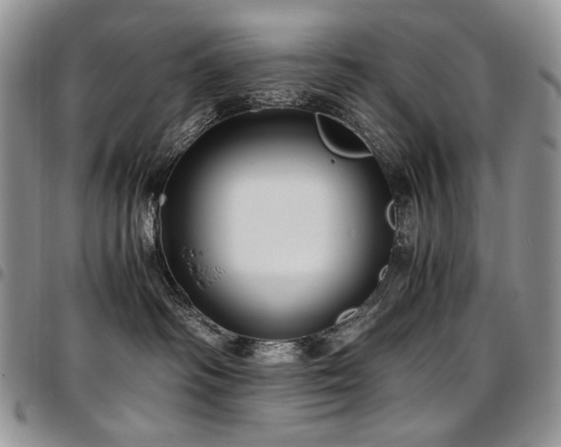 X0000097640334200802291411