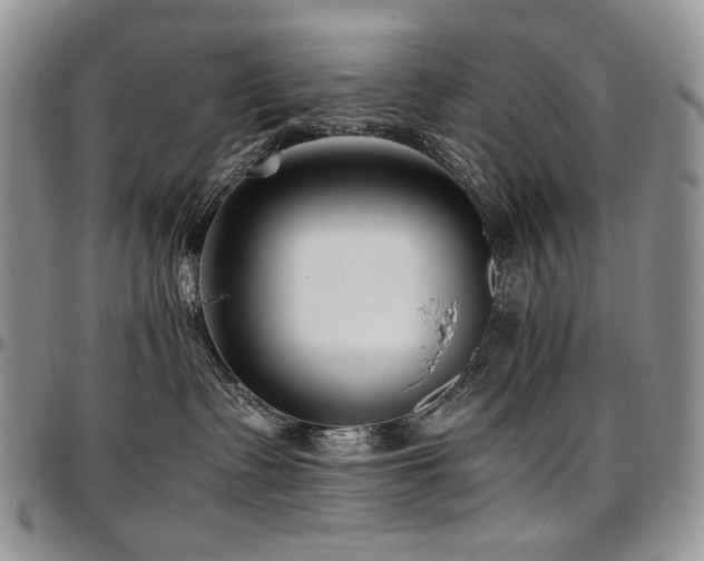 X0000097640335200802291411