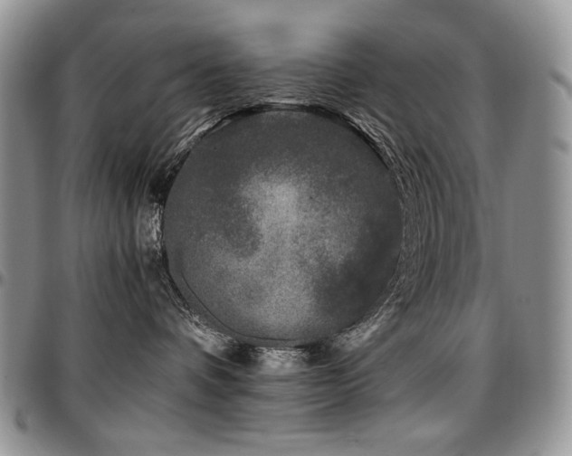 X0000097640336200802291411