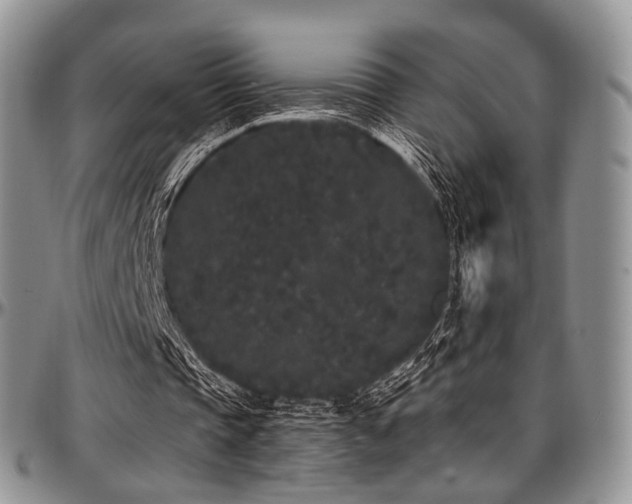 X0000097640337200802291410
