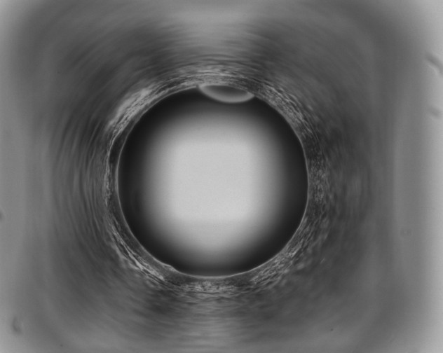 X0000097640338200802291410
