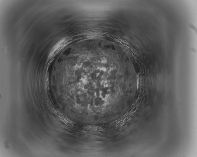 X0000097640339200802291410