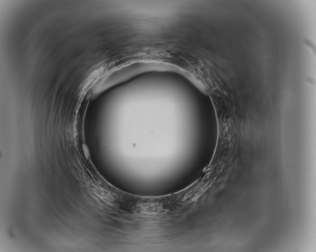 X0000097640340200802291410